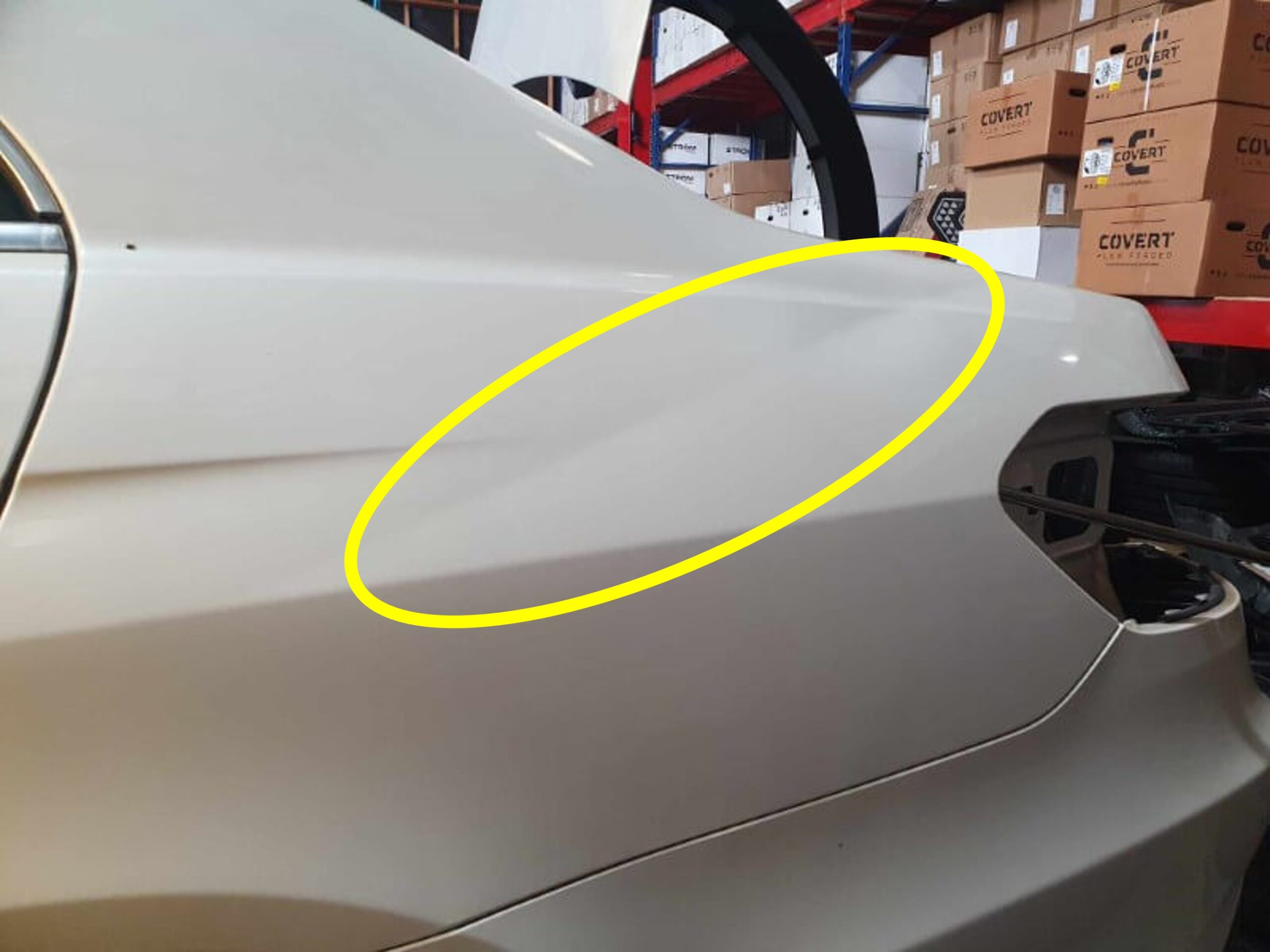 The Dent Dude - West Auckland Dent Repair Specialist (11)