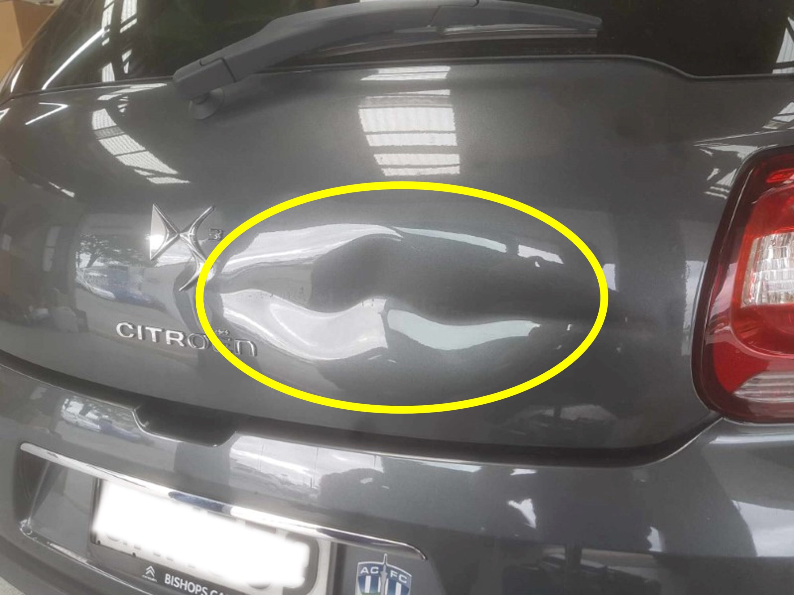 The Dent Dude - West Auckland Dent Repair Specialist (13)